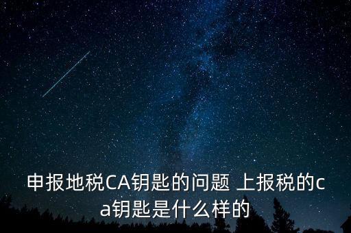 ca鑰匙是什么，申報(bào)地稅CA鑰匙的問題 上報(bào)稅的ca鑰匙是什么樣的