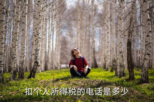 成都查個(gè)稅打什么電話，如何查詢個(gè)人所得稅明細(xì)