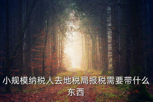 上門申報附加稅要帶什么資料，去地稅局繳納營業(yè)稅金及附加需要帶什么資料