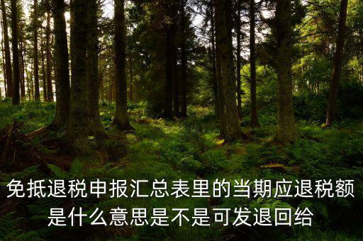 免抵退貨物應(yīng)退稅額是什么意思，免抵退應(yīng)退稅額是什么意思