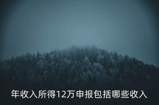 十二萬(wàn)申報(bào)是什么，12萬(wàn)個(gè)稅申報(bào)有什么用