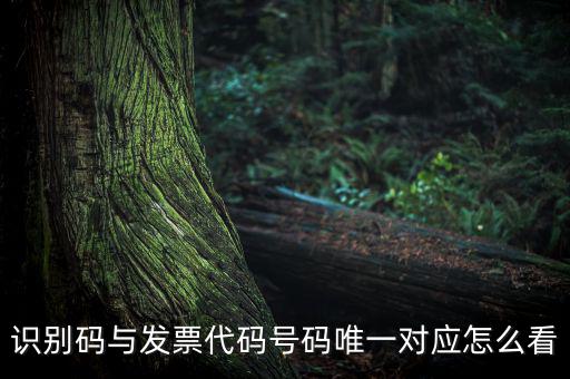 發(fā)票查詢識別碼是什么，識別碼與發(fā)票代碼號碼唯一對應怎么看