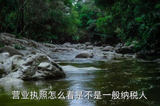 怎樣查什么時候升為一般納稅人，一般納稅人怎么查詢