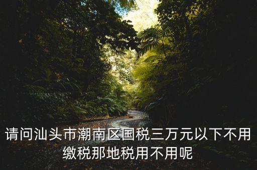 國(guó)稅3萬(wàn)元不到地稅要交什么稅，請(qǐng)問汕頭市潮南區(qū)國(guó)稅三萬(wàn)元以下不用繳稅那地稅用不用呢