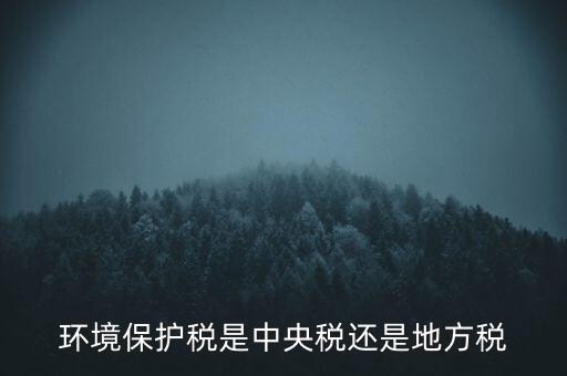 環(huán)境保護(hù)稅的機(jī)關(guān)是什么，環(huán)境保護(hù)稅由哪個機(jī)關(guān)負(fù)責(zé)征收
