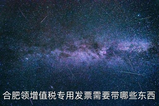 合肥領(lǐng)增值稅專用發(fā)票需要帶哪些東西