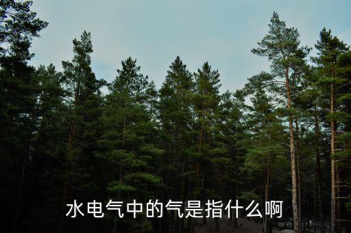 水電氣退稅氣指什么，公租房的水電氣的氣是指什么