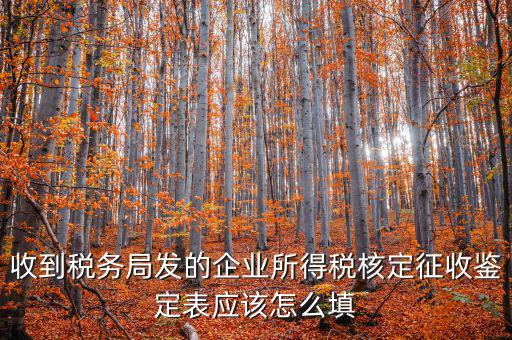 去稅務(wù)局核定征收填什么，核定征收企業(yè)報(bào)所得稅在去稅務(wù)局核定時(shí)需要拿什么資料