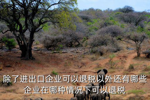 中國什么公司可以退稅，除了進(jìn)出口企業(yè)可以退稅以外還有哪些企業(yè)在哪種情況下可以退稅
