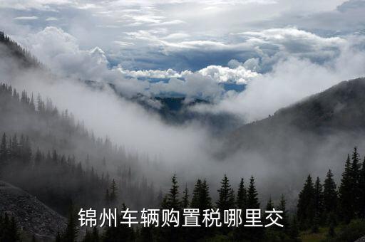 錦州國稅局車輛購置部門是什么，錦州機(jī)動車購置稅在哪里交