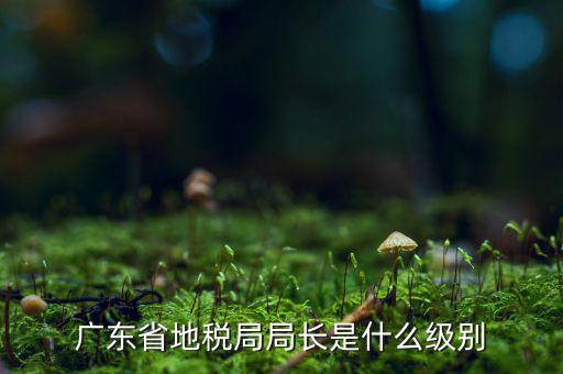 地稅局長(zhǎng)是什么級(jí)別，廣東省地稅局局長(zhǎng)是什么級(jí)別