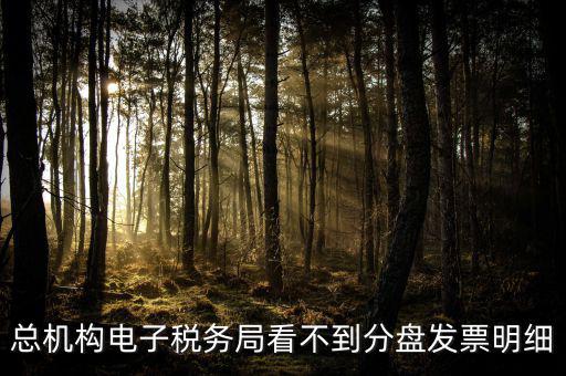 總機(jī)構(gòu)電子稅務(wù)局看不到分盤(pán)發(fā)票明細(xì)