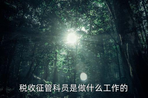 國(guó)稅局征管員和企業(yè)要做什么，稅收征管的公務(wù)員主要做什么工作