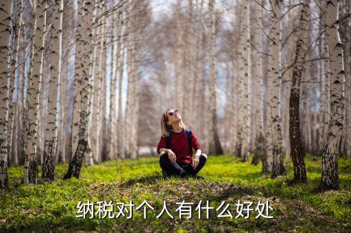 納稅對個(gè)人有什么好處