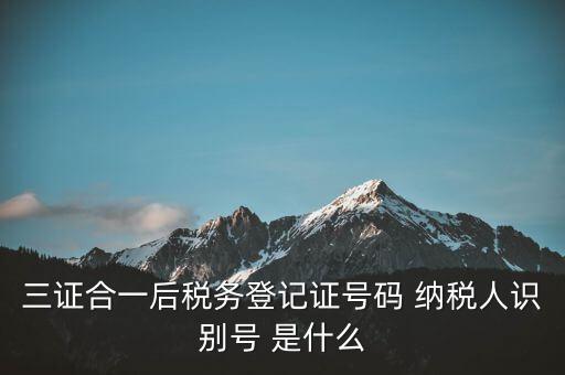 三證合一納稅識(shí)別號(hào)是什么，三證合一后納稅人識(shí)別號(hào)是什么意思
