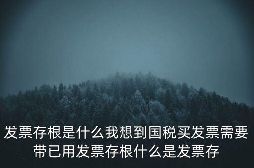 發(fā)票電子存根是什么，發(fā)票存根是什么