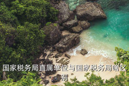 國稅局直屬單位是什么意思，國稅局是什么單位