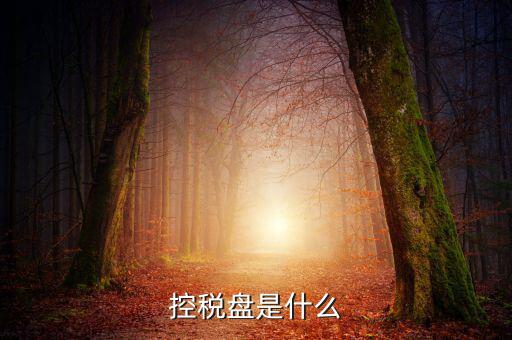 稅控盤是什么，稅控發(fā)票開(kāi)票軟件 和金稅盤是什么意思