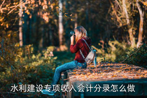水利建設(shè)專項(xiàng)收入是什么，水利建設(shè)專項(xiàng)收入會(huì)計(jì)分錄怎么做