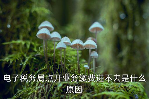為什么江蘇省電子稅務局進不去，請問電子稅務局登不上去怎么回事