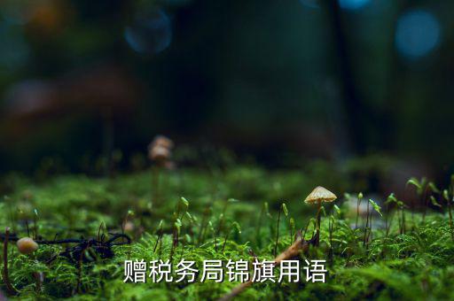 送錦旗給稅局可以寫什么內(nèi)容，贈(zèng)稅務(wù)局錦旗用語(yǔ)