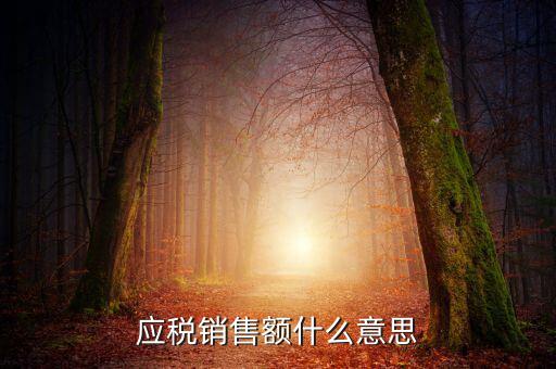 稅務(wù)銷售額是什么意思，年應(yīng)稅銷售額是什么意思