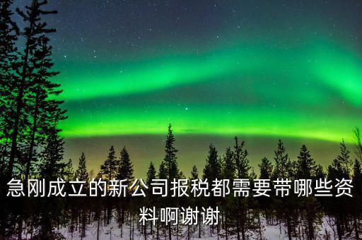 報稅要帶什么資料，增值稅報稅都要準(zhǔn)備哪些資料