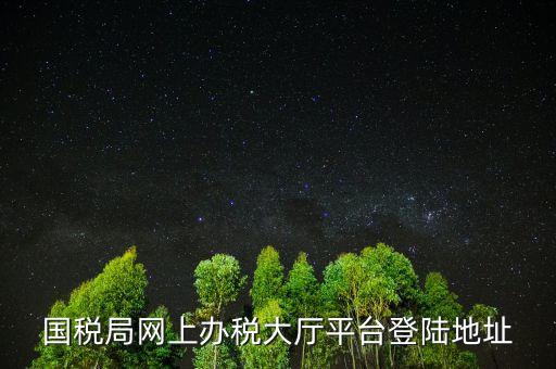 國(guó)稅網(wǎng)什么網(wǎng)站可以登錄，河北國(guó)稅網(wǎng)上辦稅服務(wù)廳用戶登錄地址
