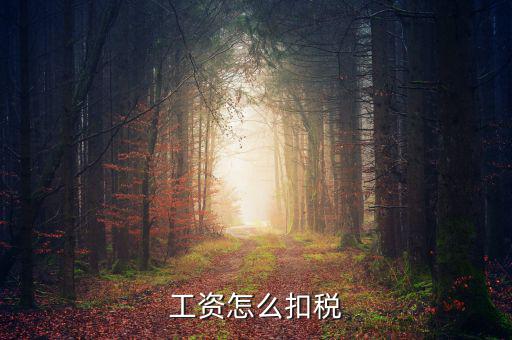 員工工資中的稅是按什么扣的，工資怎么扣稅