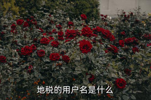 地稅登錄子賬號(hào)是什么，地稅的用戶名是什么