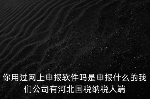 你用過網(wǎng)上申報軟件嗎是申報什么的我們公司有河北國稅納稅人端