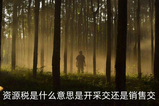 資源稅是什么意思是開(kāi)采交還是銷(xiāo)售交