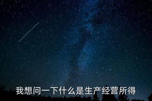 我想問一下什么是生產經營所得