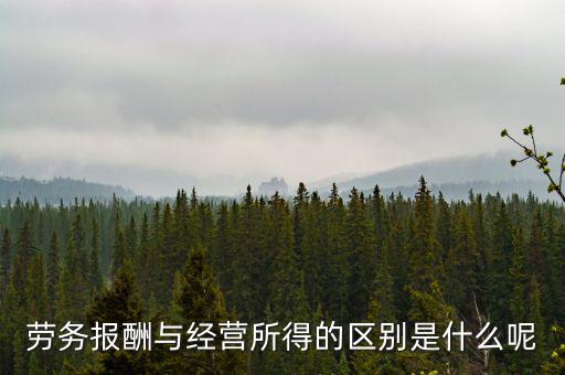 什么是經(jīng)營所得，個(gè)體工商戶的生產(chǎn)經(jīng)營所得是指什么