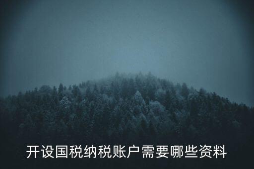開(kāi)國(guó)稅都需要帶什么資料，開(kāi)設(shè)國(guó)稅納稅賬戶需要哪些資料