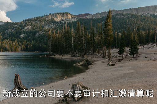 匯繳清算是什么意思，交清和繳清是一個(gè)意思嗎