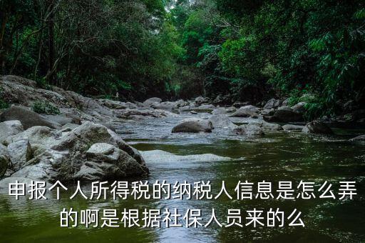 納稅人信息包括什么，申報(bào)個(gè)人所得稅的納稅人信息是怎么弄的啊是根據(jù)社保人員來(lái)的么