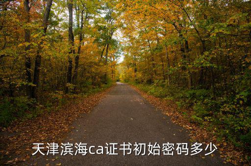 天津ca密碼是什么意思，天津社保卡初始密碼是多少啊 我是中國(guó)銀行的