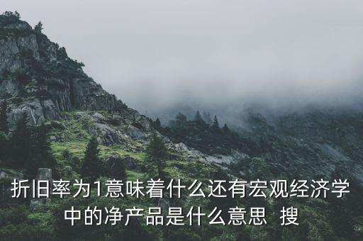 折舊率為1意味著什么還有宏觀經濟學中的凈產品是什么意思  搜