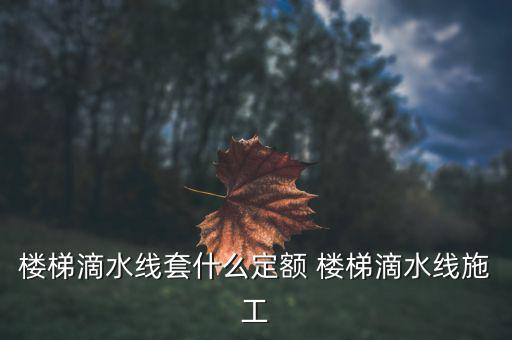 江蘇滴水套什么定額，滴水線套什么定額