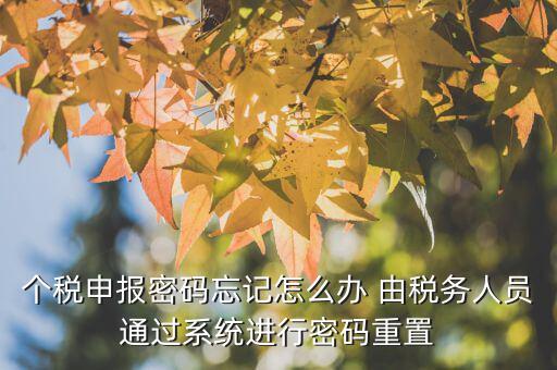 地稅重置密碼需要什么，重置個(gè)稅申報(bào)密碼需要什么