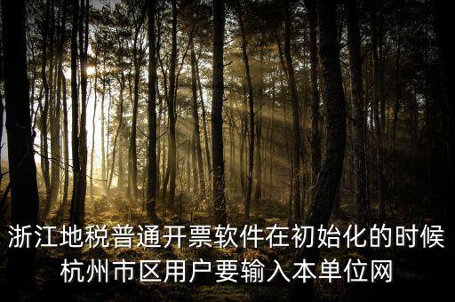 浙江網(wǎng)上稅務局的注冊碼是什么，浙江地稅因特網(wǎng)辦稅服務系統(tǒng)注冊碼過期
