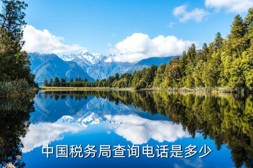 福建國稅查找打什么電話，國稅電話