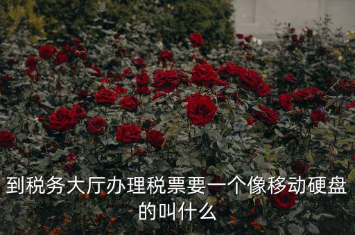 稅務(wù)磁盤什么樣，我要正確的答案