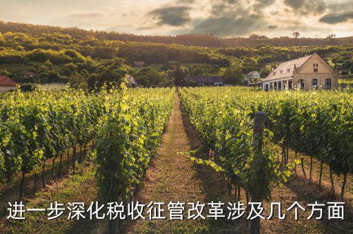 稅務(wù)改革 發(fā)展要什么，論述個人所得稅改革的基本原則