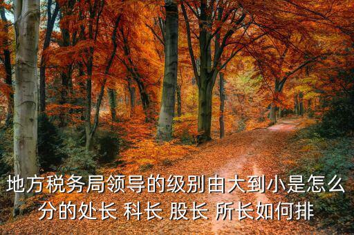 市地稅局科長什么級別，社保分局和稅務分局的科長股長是屬于哪類等級的官