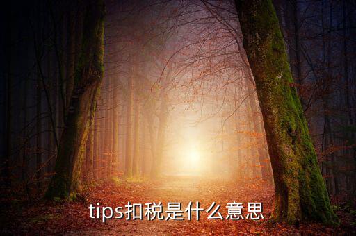 國稅tips系統(tǒng)指什么意思，電子對賬單上摘要一欄寫有tips是什么意思