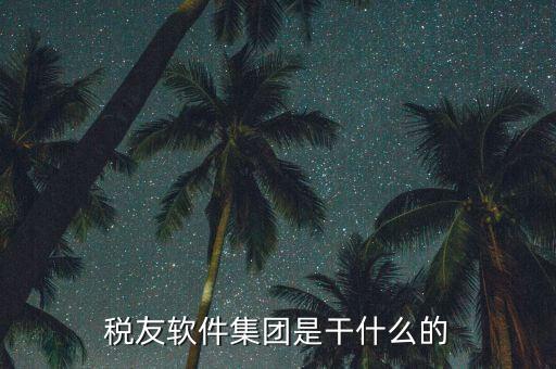 稅友軟件是干什么的，稅友的稅友軟件集團