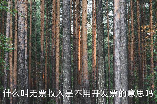 什么叫無(wú)票收入是不用開(kāi)發(fā)票的意思嗎