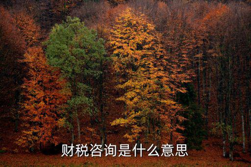 深圳稅務(wù)納稅咨詢平臺(tái)是什么意思，財(cái)稅咨詢是什么意思
